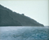 Profili (1)