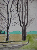 Campagna e hangars