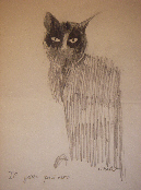 Il gatto + nero